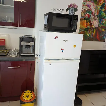 Beautiful Flat Around Geneva & Its Airport Palexpo