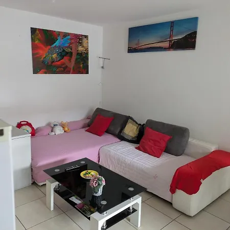 Beautiful Flat Around Geneva & Its Airport Palexpo Appartamento