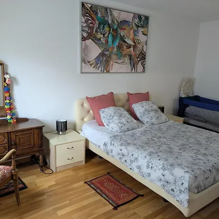 Appartamento Beautiful Flat Around Geneva & Its Airport Palexpo Saint-Julien-en-Genevois