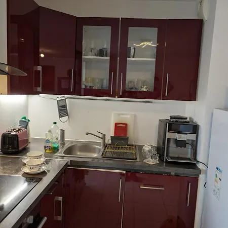 Beautiful Flat Around Geneva & Its Airport Palexpo *