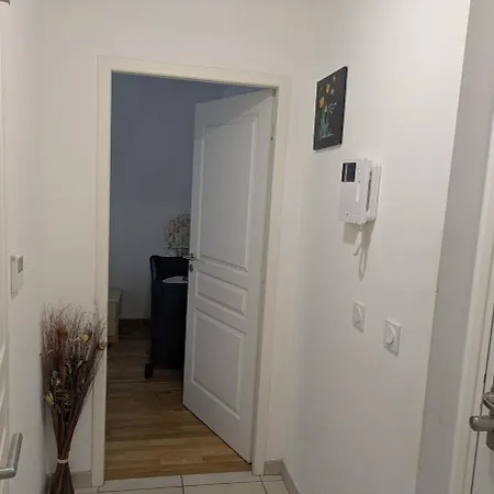 Beautiful Flat Around Geneva & Its Airport Palexpo